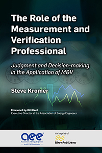 The Role of the Measurement and Verification Professional Judgment and Decision-making in the Application of M&V